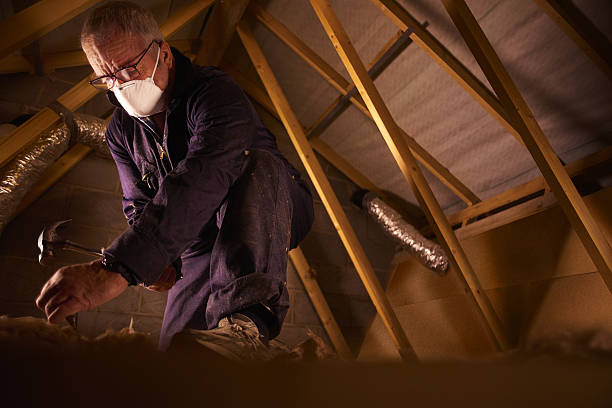 Best Geographic-Specific Insulation Services in Gloster, MS